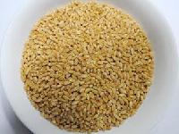 Manufacturers Exporters and Wholesale Suppliers of Wheat Seeds MORBI 